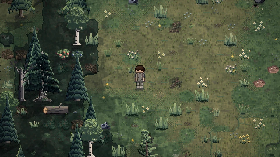 The woods on a summer morning